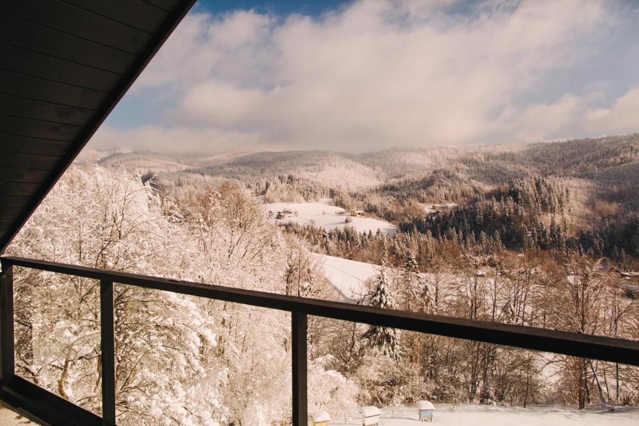 Apartamenty 'Okno Z Widokiem' Weichsel Exterior foto
